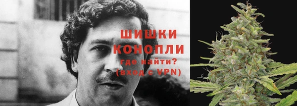 ПСИЛОЦИБИНОВЫЕ ГРИБЫ Медногорск