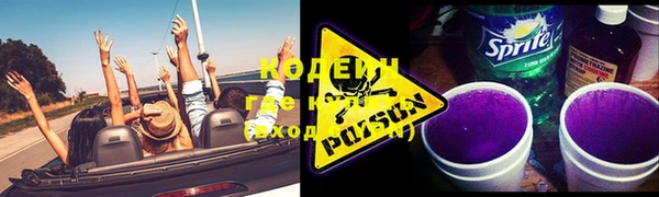 хмурый Мегион