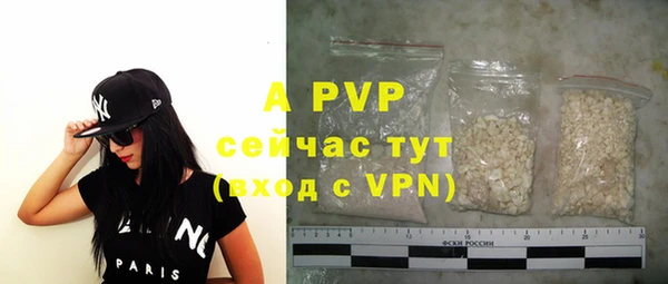 хмурый Мегион