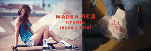 стаф Медвежьегорск