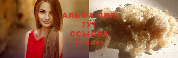 стаф Медвежьегорск