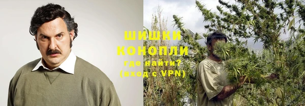 хмурый Мегион