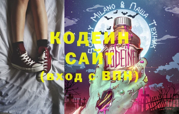 хмурый Мегион