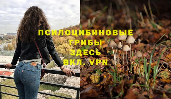 хмурый Мегион