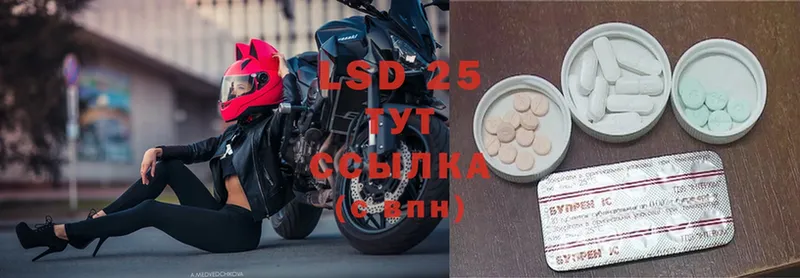 Лсд 25 экстази ecstasy  где купить наркотик  Зеленогорск 