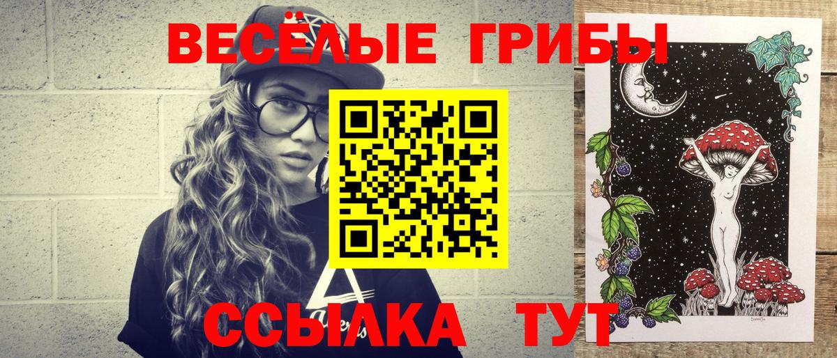 Псилоцибиновые грибы GOLDEN TEACHER  цены   Зеленогорск  Вход с VPN  Псилоцибиновые грибы Psilocybe 