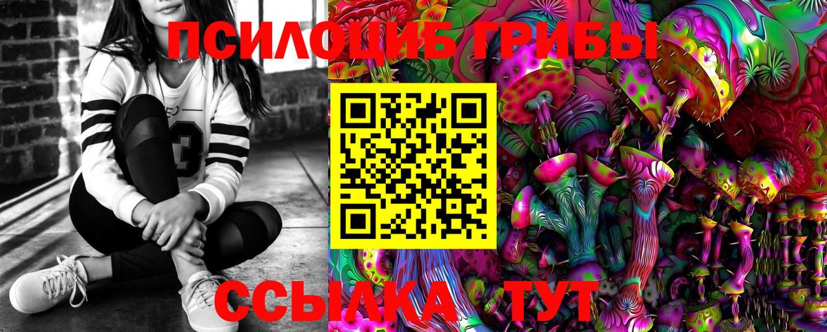 Псилоцибиновые грибы мицелий Зеленогорск