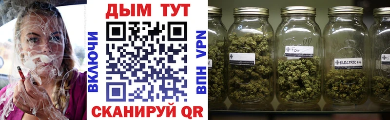 Бошки марихуана гибрид  Зеленогорск 